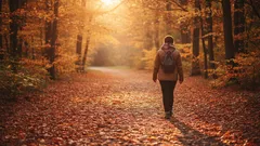 Hoe een simpele herfstwandeling zorgt voor betere nachtrust en minder stress